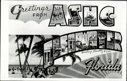 Greetings From A.S.H.C. Clearwater Postcard