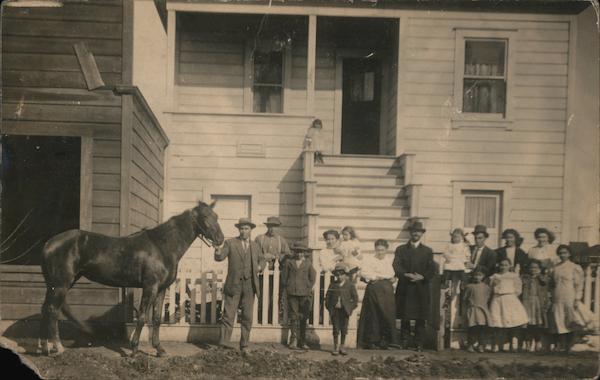 Family with Horse Family Portaits