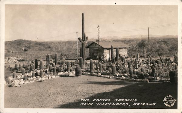 The Cactus Gardens, near Wickenberg, Arizona Wickenburg