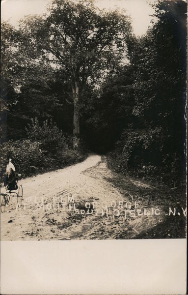 Old Elm at Mouth of Gorge South Otselic New York