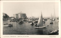 Yachting Paradise Santa Catalina Postcard