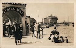 Casino Way Catalina Island Postcard