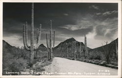 Looking Toward Gate Pass, Tucson Mtn. Park Postcard