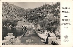 Sabino Canyon Tucson, AZ Postcard Postcard Postcard