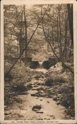 Fernside Brook Wittier Birthplace Postcard