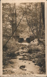 Fernside Brook Wittier Birthplace Haverhill, MA Postcard Postcard Postcard