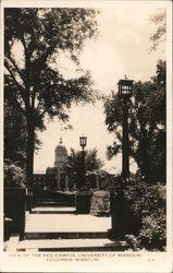 View of the Red Campus University of Missouri Postcard