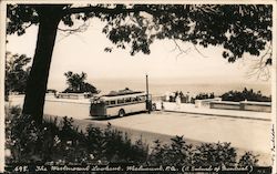 The Westmount Lookout Postcard