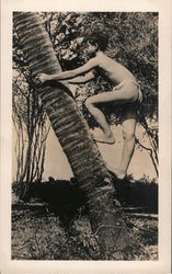 Boy Climbing Palm Tree Postcard