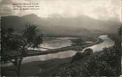 Beautiful Hanalei Valley on Kauai, the Garden Isle Hawaii Postcard Postcard Postcard