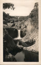 Beautiful Waterfall in Gorge Postcard
