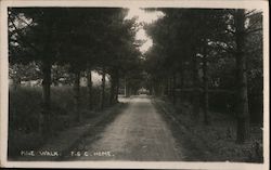Pine Walk Friendly Societies Convalescent Home Postcard