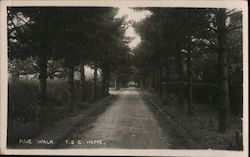 Pine Walk Friendly Societies Convalescent Home Herne Bay, England Postcard Postcard Postcard