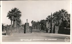 Gateway of University of Arizona Postcard