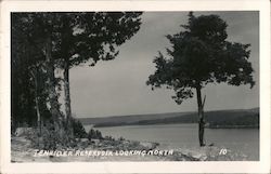 Tenkiller Reservoir Looking North Postcard