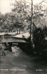 Sanlando Springs FL Florida Postcard Postcard Postcard