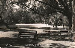 Sanlando Springs Florida Postcard Postcard Postcard