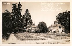 Experimental Gardens and Home of Luther Burbank Postcard