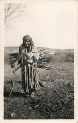 Elderly Native American Woman Gathering Firewood Postcard
