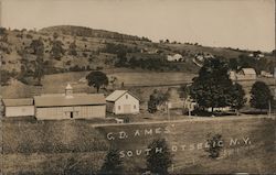 G.D. Ames South Otselic, NY Postcard Postcard Postcard