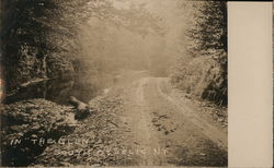 In "The Glen" Postcard