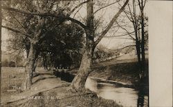 The Dyke South of Otselic NY Postcard