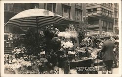Flower Vendors (Venders) Postcard