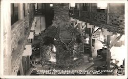 Largest Four Sided Fireplace in the World June Lodge Postcard