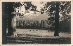Mountain/Valley Scene Postcard