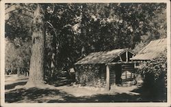 Rustic Camp Scene Postcard