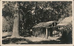 Rustic Camp Scene San Bernardino, CA Postcard Postcard Postcard