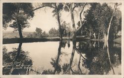 Mirror Pool, Soboba Hot Springs Resort Postcard