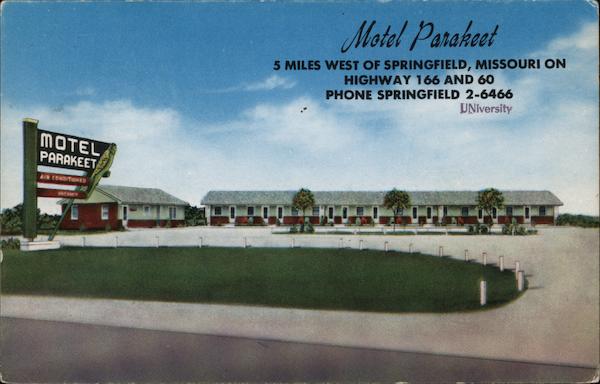 Motel Parakeet Springfield Missouri