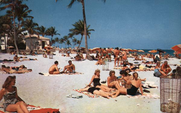Ocean Bathing Beneath Lacy Palms Miami Beach Florida