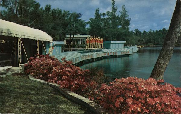 Weeki Wachee Spring Florida Ted Lagerberg