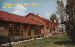 Old Matt's Cabin Gift Shop Postcard