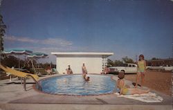 Skyline Motel Postcard