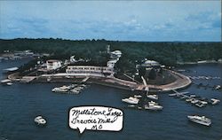 Millstone Lodge & Marina Gravois Mills, MO Postcard Postcard Postcard