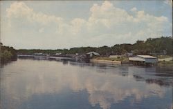 Beautiful View on Steinhatchee River Florida Postcard Postcard Postcard