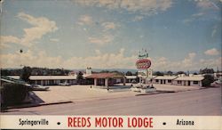 Reeds Motor Lodge Postcard