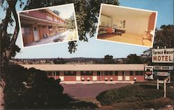 Spruce Manor Motel Postcard