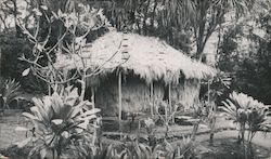 The Waioli Tea Room Owned and Operated By The Salvation Army Girls' Home Postcard
