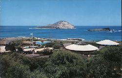 Sea Life Park, Makapuu Point Waimanalo, HI Postcard Postcard Postcard