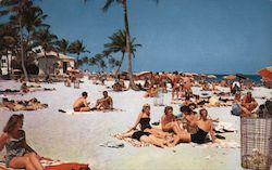 Ocean Bathing Beneath Lacy Palms Postcard