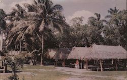 Musa Isle Indian Village Postcard