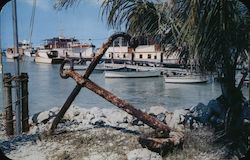 Scene at Thompson's Deck on the Florida Keys Postcard