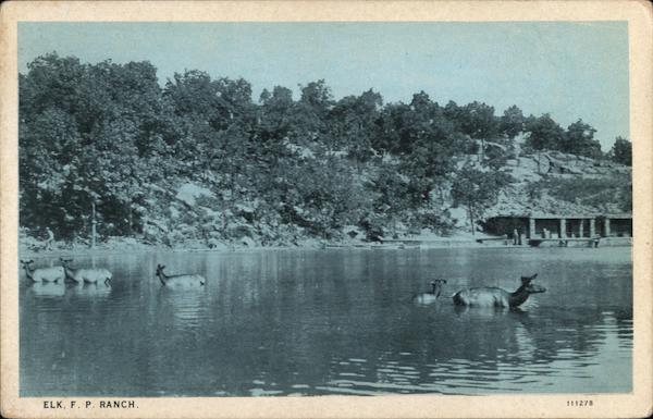Elk Bathing - Frank Phillips Ranch Bartlesville Oklahoma