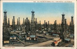 Oil Fields at Signal Hill Postcard