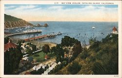 Bay View, Avalon Postcard