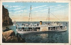 Glass Bottom Boat At Seal Rocks Postcard